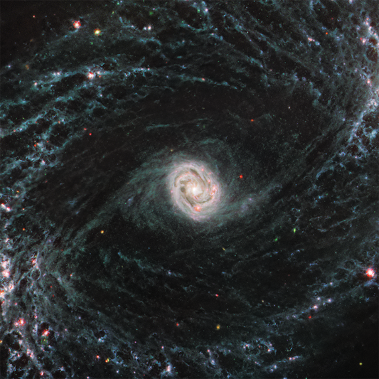 James Webb - NGC 1433