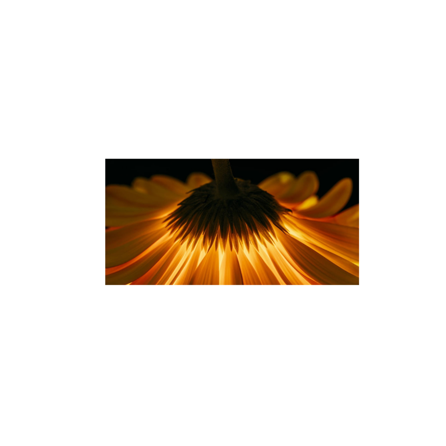 Custom Glass Heater