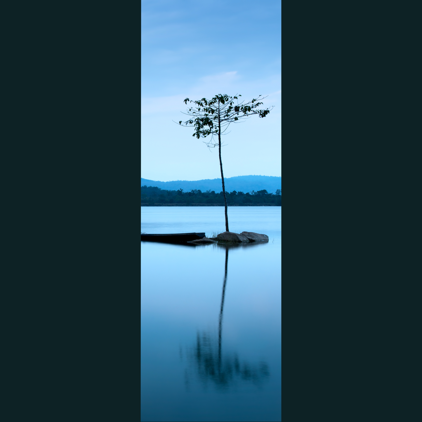 Tree Reflection