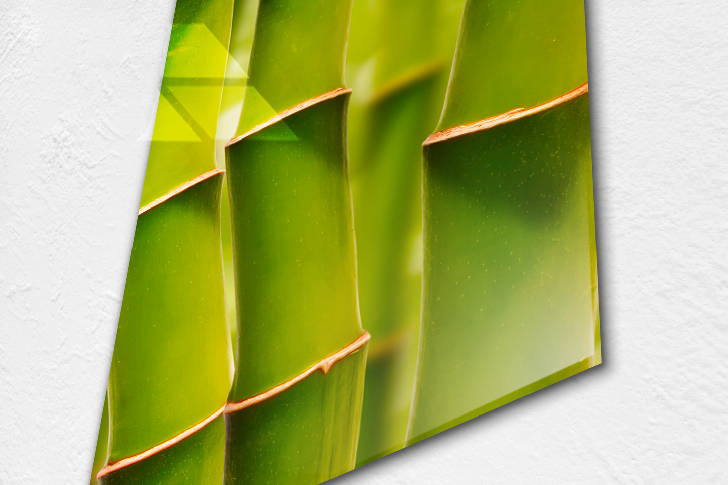 Bamboo Natural