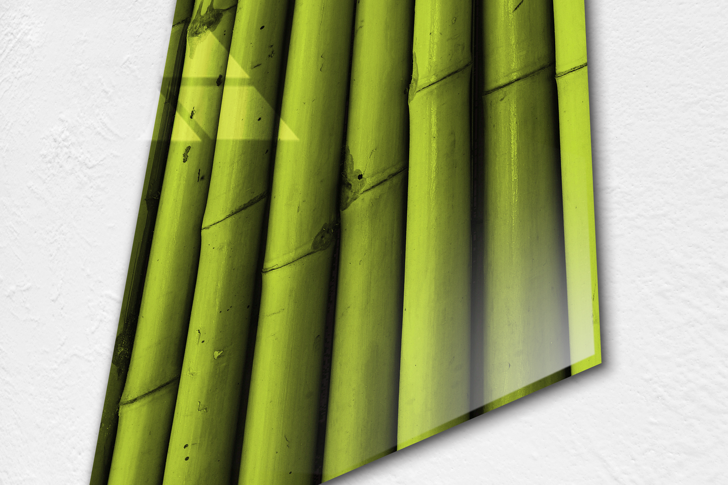 Bamboo