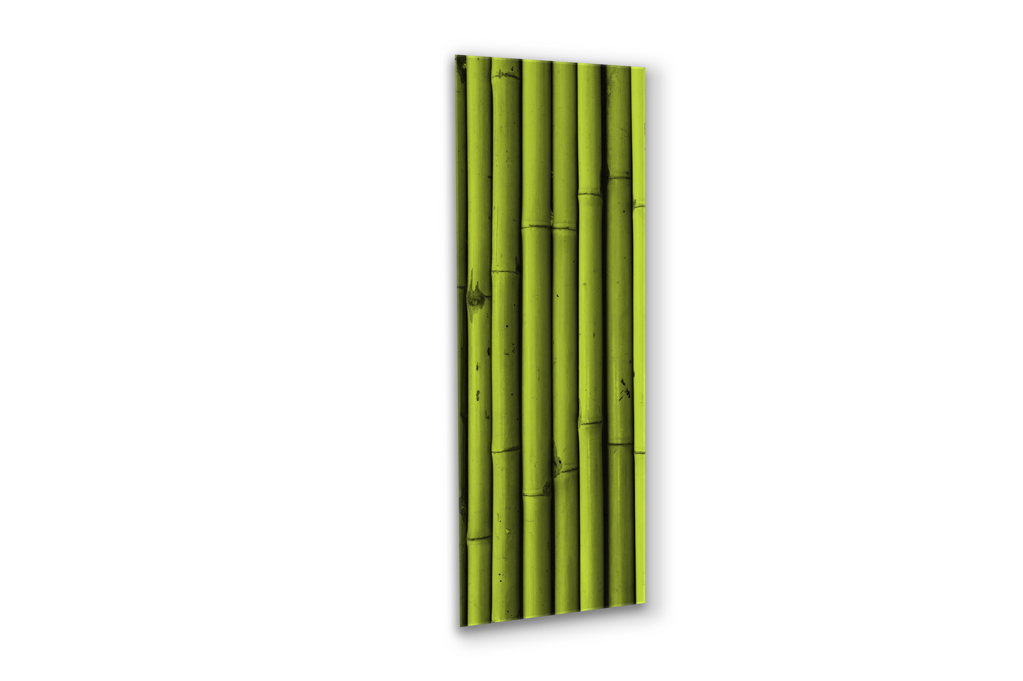Bamboo