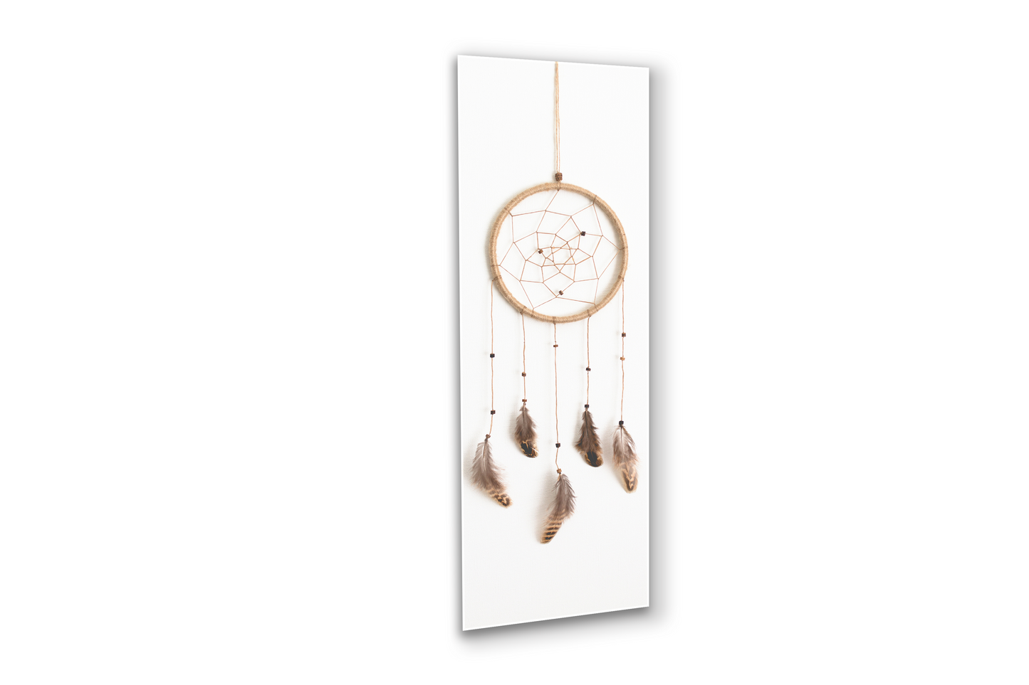 Dream Catcher