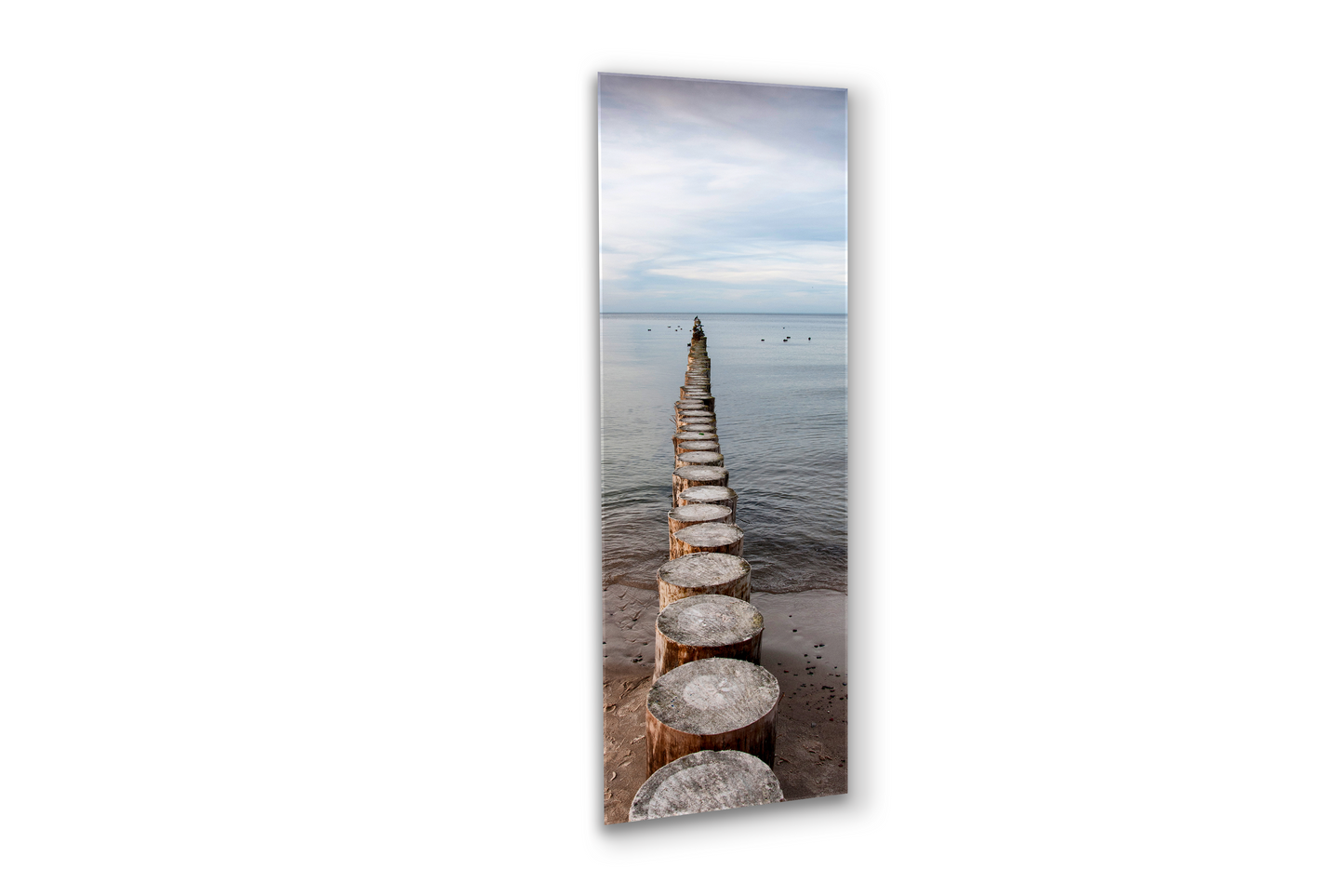 Log Dock