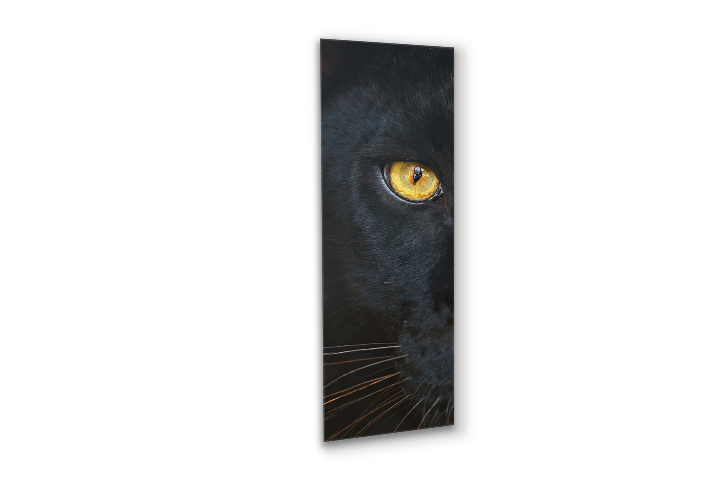 Panther