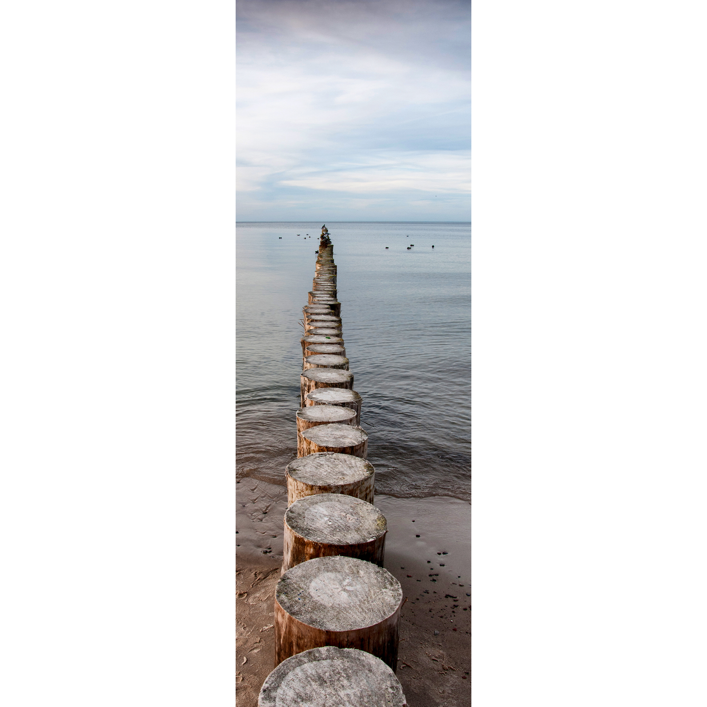 Log Dock