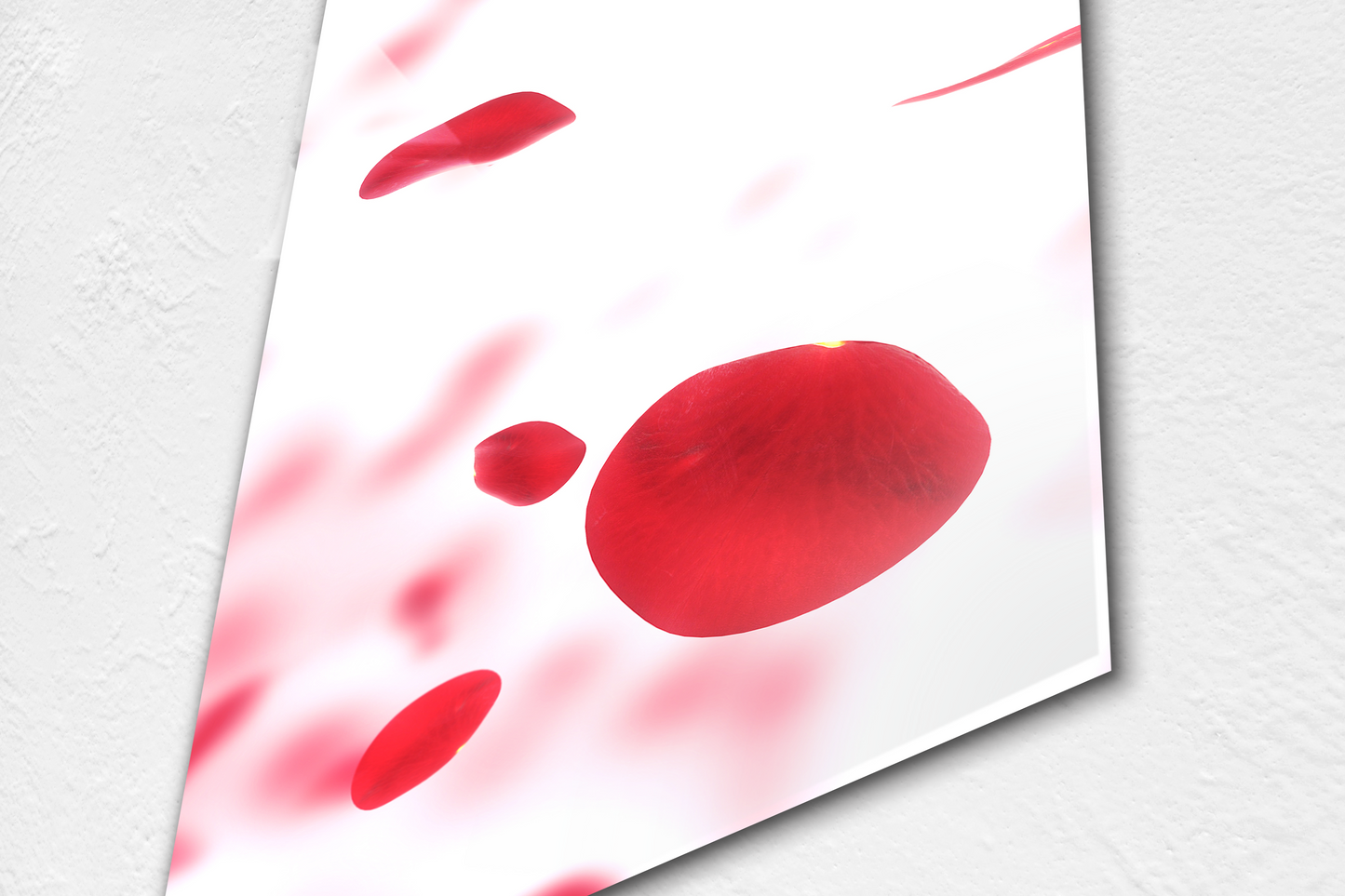 Rose Petals