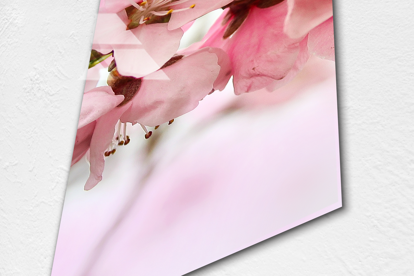 Cherry Tree Flowers