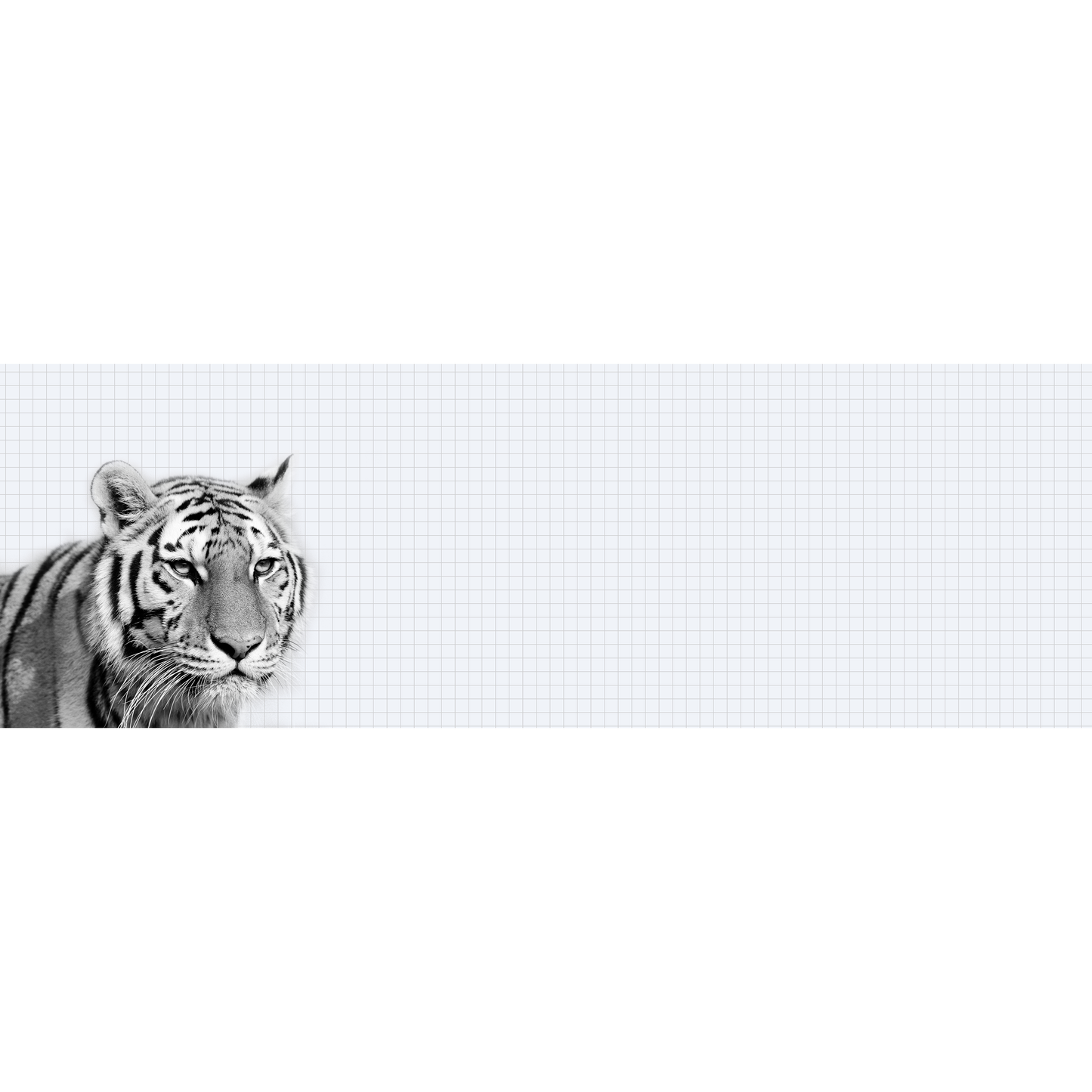Tiger Grid
