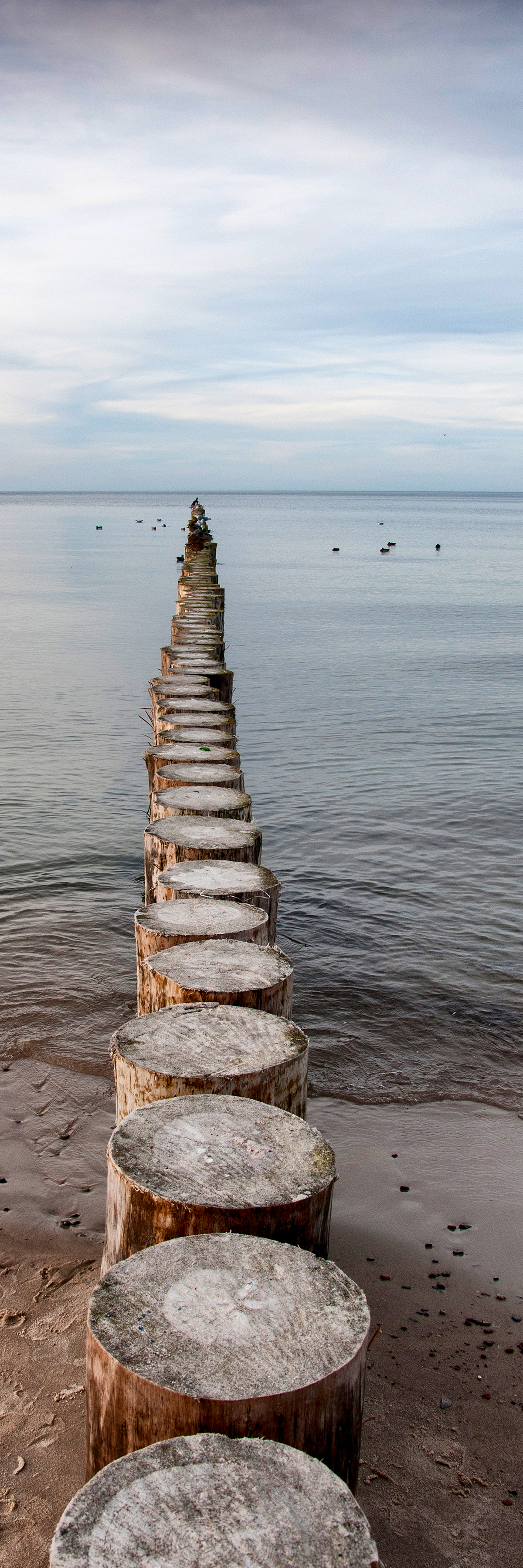 Log Dock