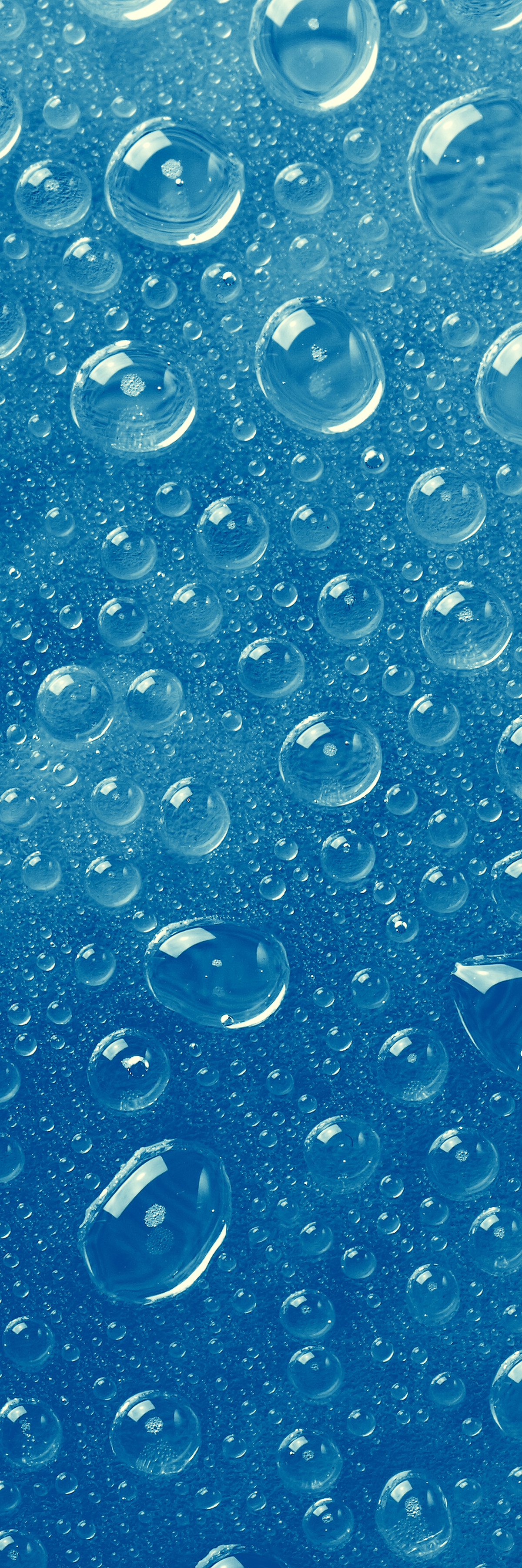 Bubbles
