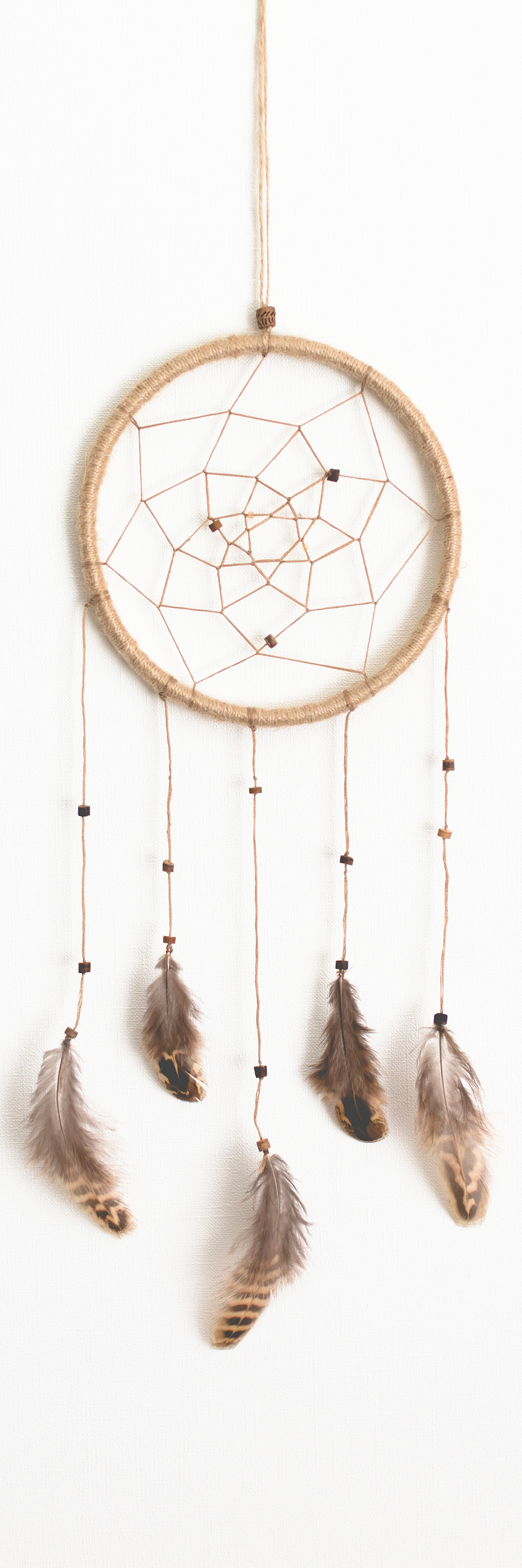 Dream Catcher