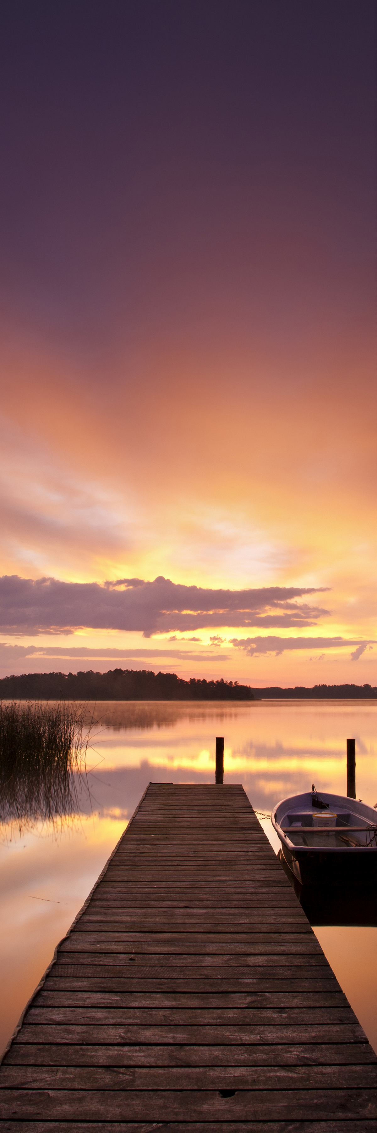 Zen Dock
