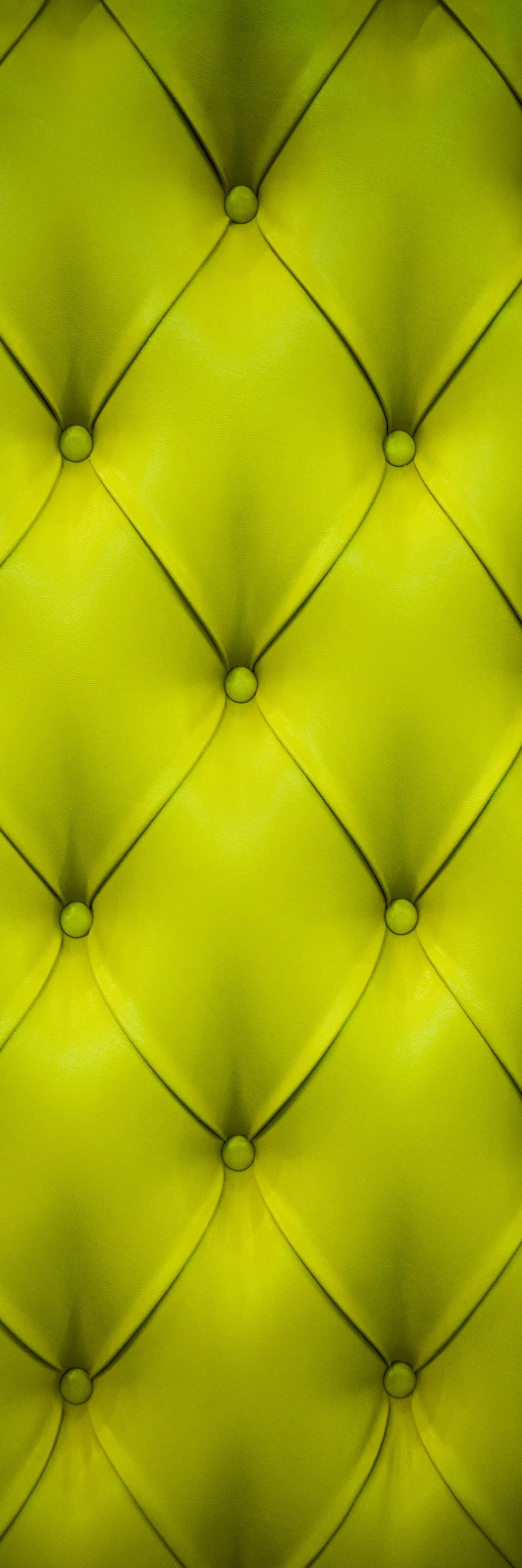 Cushion