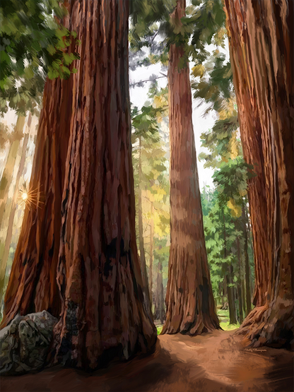 Sequoia National Park by Holly Thompson