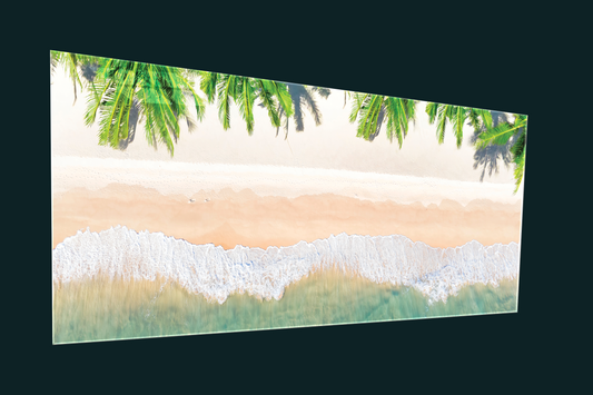 Beach & Palm Trees