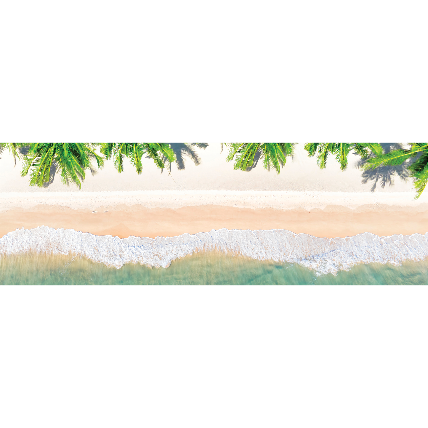 Beach & Palm Trees