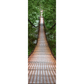 Forest Bridge