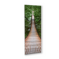 Forest Bridge