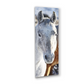 White Horse