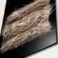 Hay Bale
