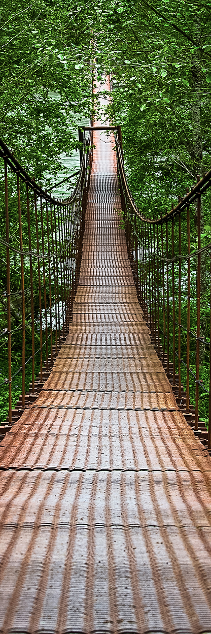 Forest Bridge